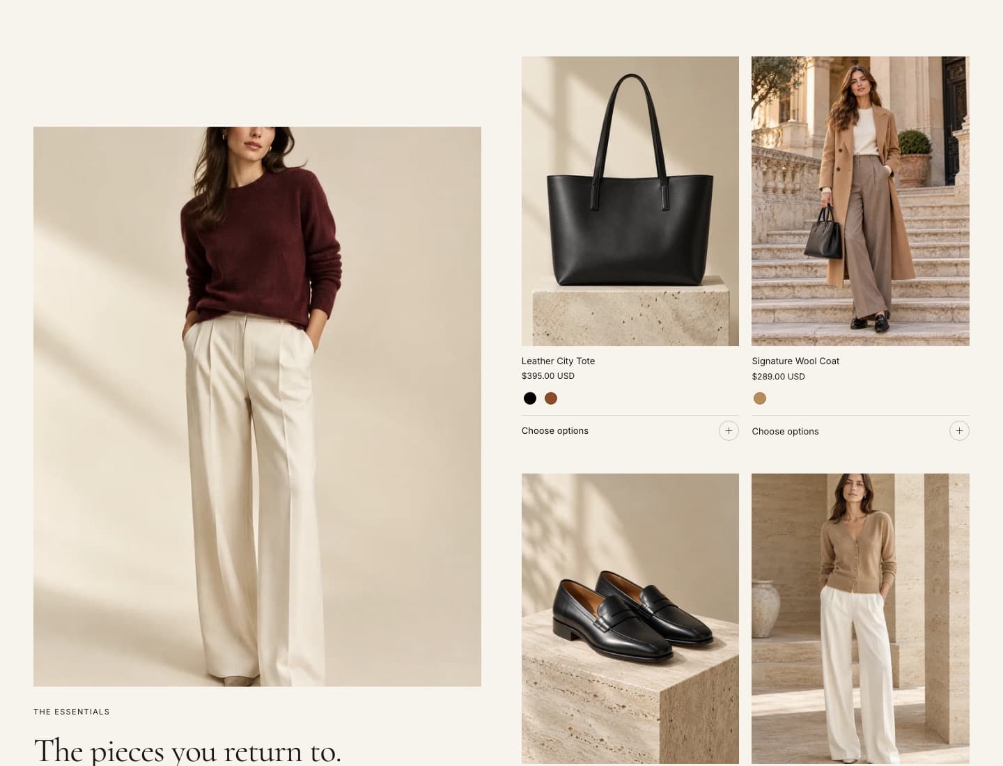 Collection feature section in the Ani theme