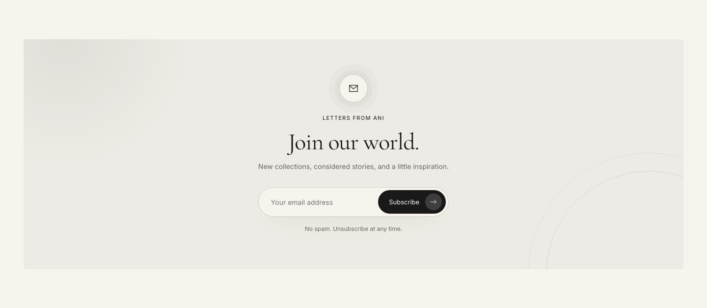 Newsletter section in the Ani theme