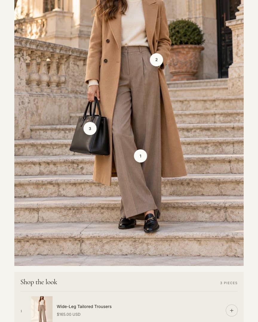 Shop the look section in the Ani theme